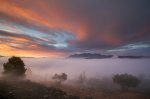 Montserrat, entre el Cel i la Terra.jpg